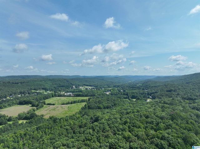 689 BEAVER CREEK ROAD, Remlap, AL 35133