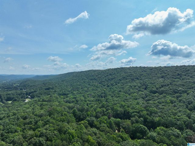 689 BEAVER CREEK ROAD, Remlap, AL 35133