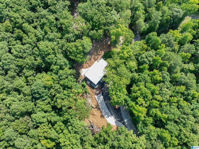 689 BEAVER CREEK ROAD, Remlap, AL 35133