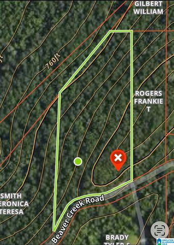 689 BEAVER CREEK ROAD, Remlap, AL 35133
