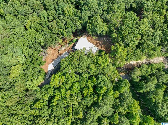 689 BEAVER CREEK ROAD, Remlap, AL 35133