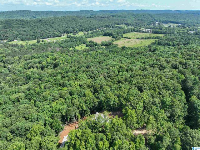 689 BEAVER CREEK ROAD, Remlap, AL 35133