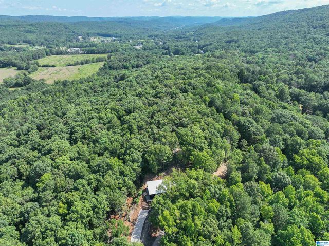 689 BEAVER CREEK ROAD, Remlap, AL 35133