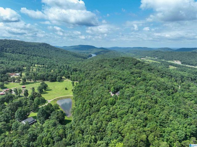 689 BEAVER CREEK ROAD, Remlap, AL 35133