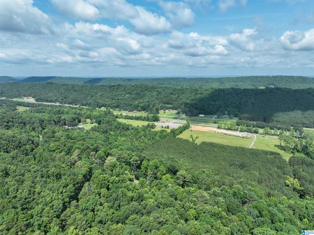689 BEAVER CREEK ROAD, Remlap, AL 35133