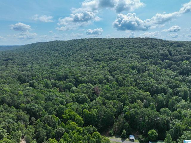 689 BEAVER CREEK ROAD, Remlap, AL 35133