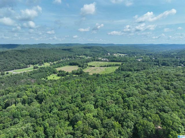 689 BEAVER CREEK ROAD, Remlap, AL 35133