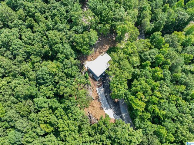 689 BEAVER CREEK ROAD, Remlap, AL 35133