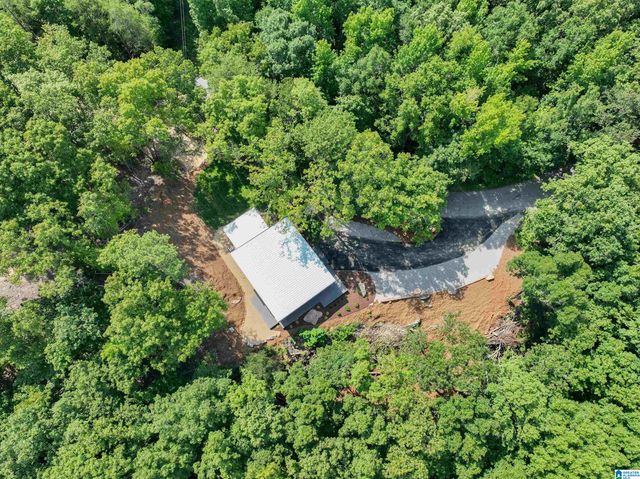 689 BEAVER CREEK ROAD, Remlap, AL 35133