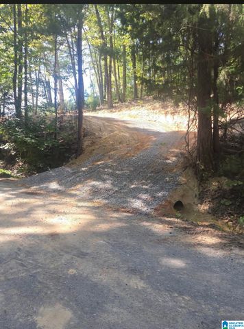 689 BEAVER CREEK ROAD, Remlap, AL 35133
