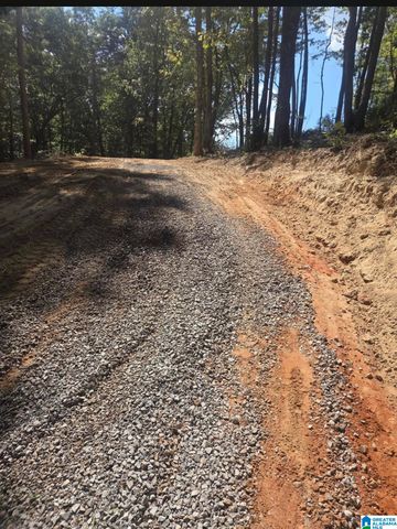 689 BEAVER CREEK ROAD, Remlap, AL 35133