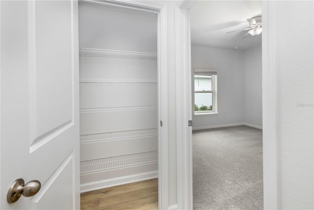 131 NIGHTHAWK LANE, Palm Coast, FL 32164