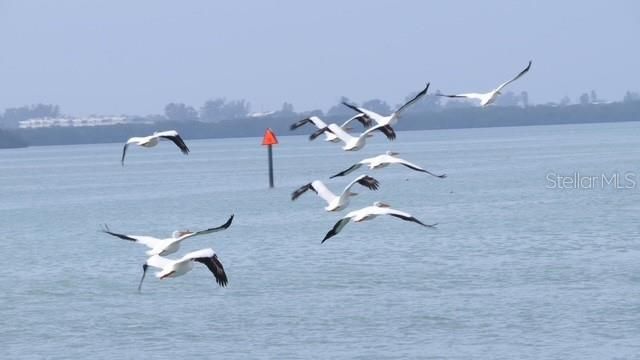 7500 PARK POINTE DRIVE 52, Englewood, FL 34224