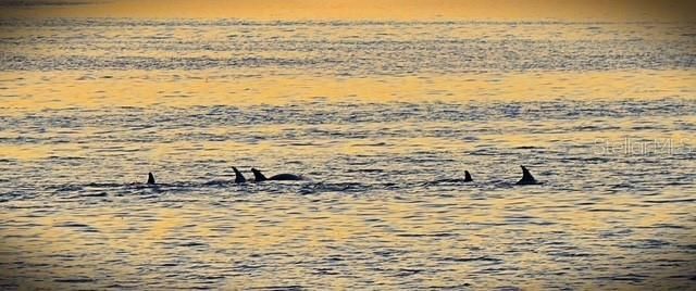 7500 PARK POINTE DRIVE 52, Englewood, FL 34224