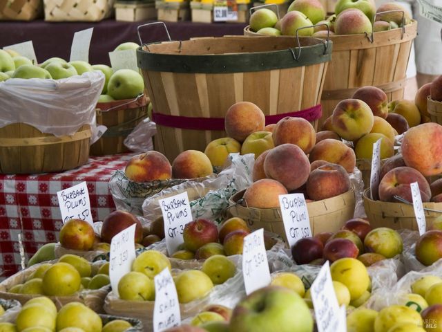 486 S Main St, Sebastopol, CA 95472