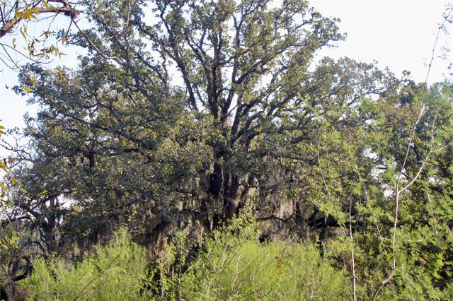 3514 Highway 90, Glidden, TX 78943