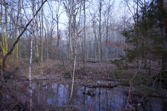 3 John Ross Hollow Rd, Erin, TN 37061