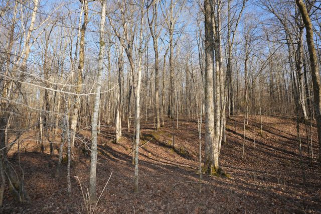 3 John Ross Hollow Rd, Erin, TN 37061