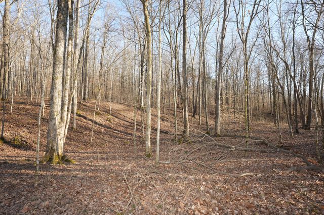 3 John Ross Hollow Rd, Erin, TN 37061