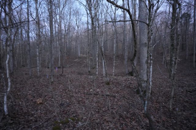 3 John Ross Hollow Rd, Erin, TN 37061