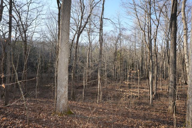 3 John Ross Hollow Rd, Erin, TN 37061