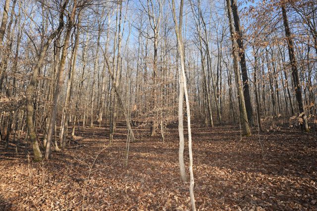 3 John Ross Hollow Rd, Erin, TN 37061