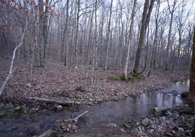 3 John Ross Hollow Rd, Erin, TN 37061