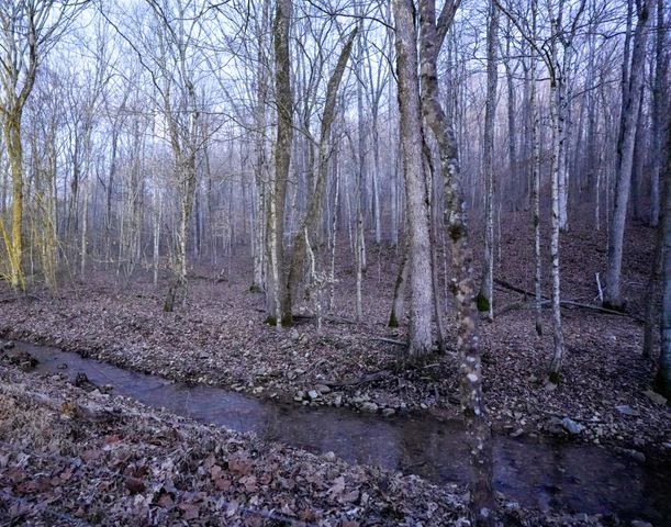 3 John Ross Hollow Rd, Erin, TN 37061