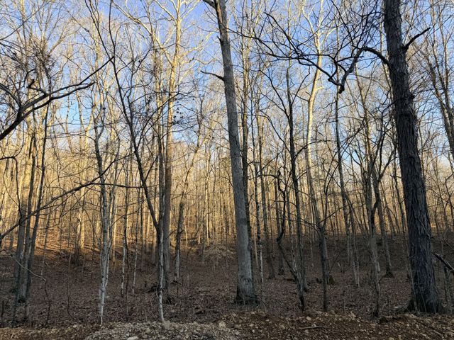 3 John Ross Hollow Rd, Erin, TN 37061