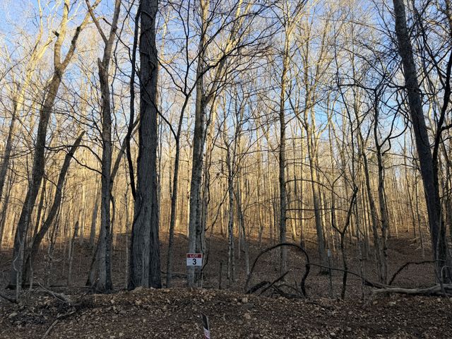 3 John Ross Hollow Rd, Erin, TN 37061