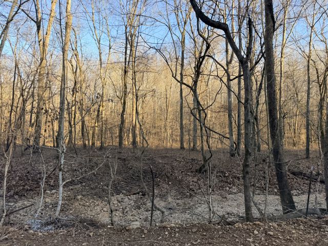 3 John Ross Hollow Rd, Erin, TN 37061