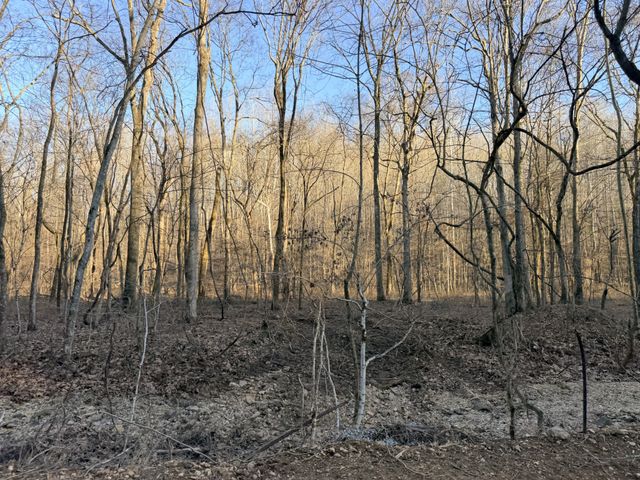 3 John Ross Hollow Rd, Erin, TN 37061