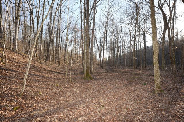 3 John Ross Hollow Rd, Erin, TN 37061