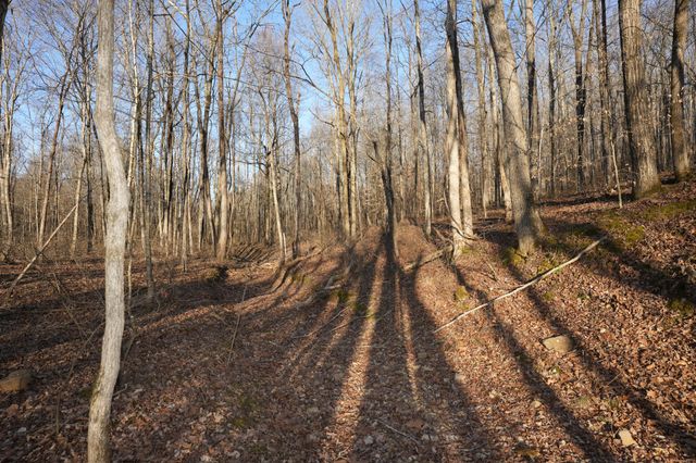 3 John Ross Hollow Rd, Erin, TN 37061