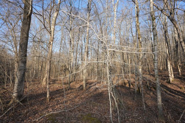 3 John Ross Hollow Rd, Erin, TN 37061