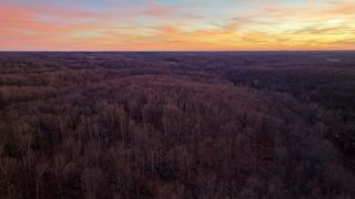 3 John Ross Hollow Rd, Erin, TN 37061