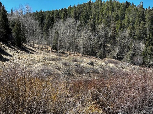 Lot 223 Hwy 160, Fort Garland, CO 81133