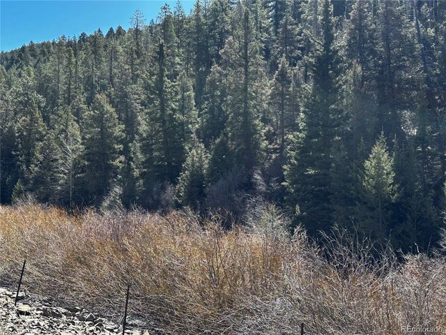 Lot 223 Hwy 160, Fort Garland, CO 81133