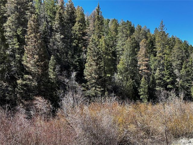 Lot 223 Hwy 160, Fort Garland, CO 81133
