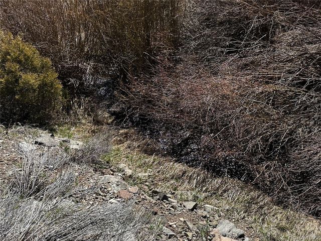 Lot 223 Hwy 160, Fort Garland, CO 81133