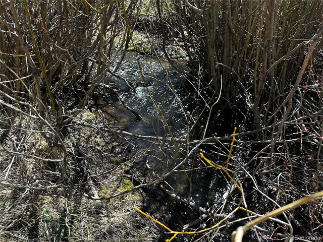 Lot 223 Hwy 160, Fort Garland, CO 81133