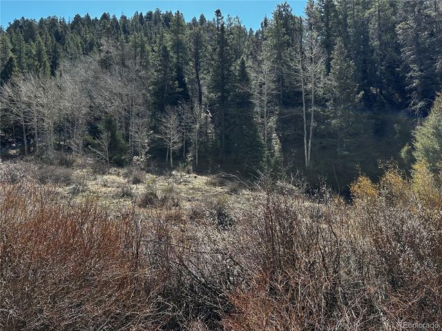 Lot 223 Hwy 160, Fort Garland, CO 81133