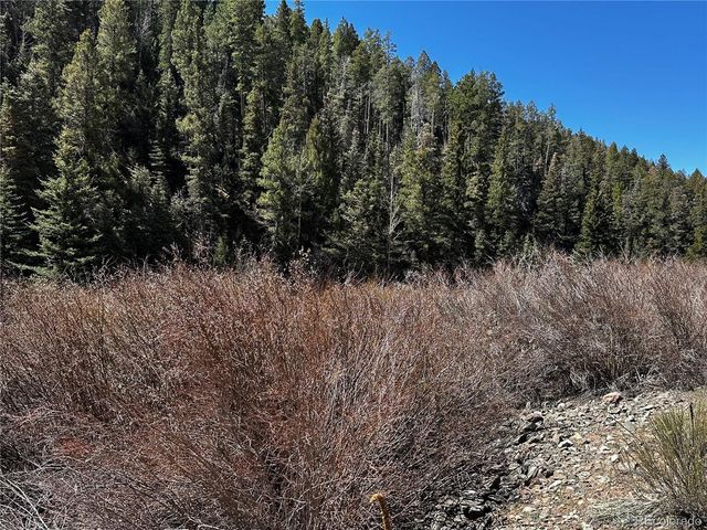 Lot 223 Hwy 160, Fort Garland, CO 81133
