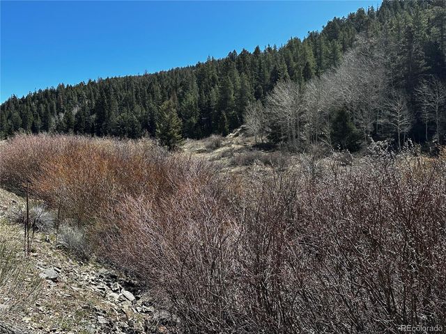 Lot 223 Hwy 160, Fort Garland, CO 81133