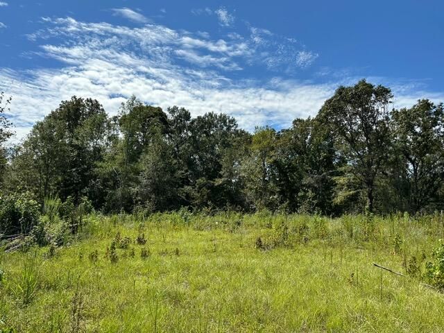 00 Purvis to Baxterville Rd., Purvis, MS 39475