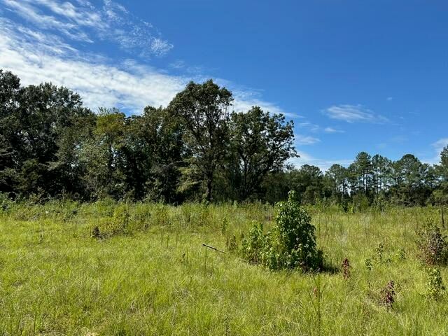 00 Purvis to Baxterville Rd., Purvis, MS 39475