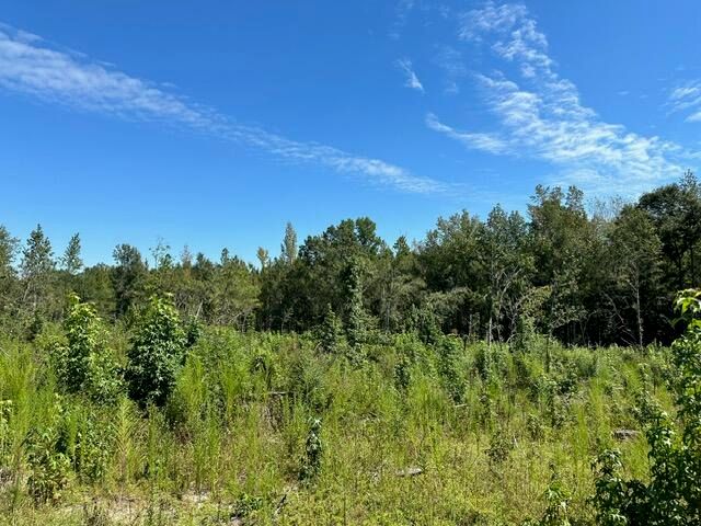 00 Purvis to Baxterville Rd., Purvis, MS 39475