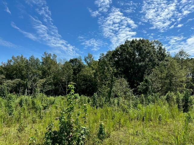 00 Purvis to Baxterville Rd., Purvis, MS 39475