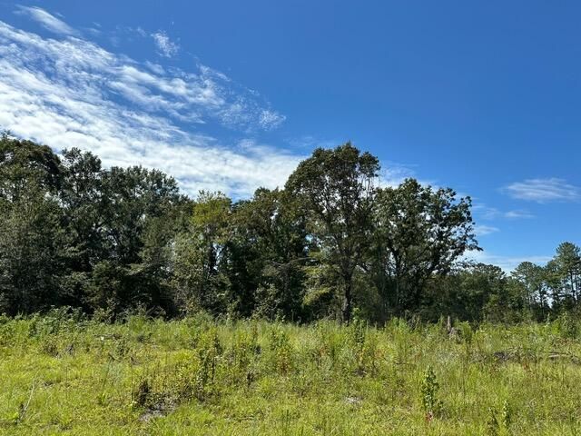 00 Purvis to Baxterville Rd., Purvis, MS 39475