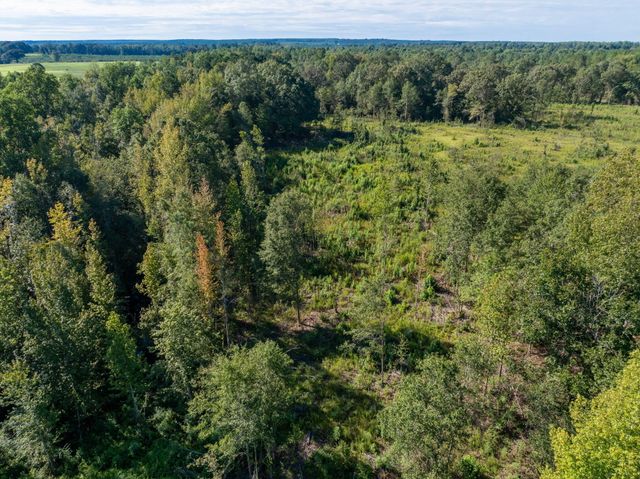 00 Purvis to Baxterville Rd., Purvis, MS 39475